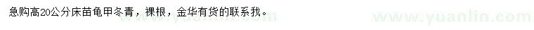 求購高20公分龜甲冬青