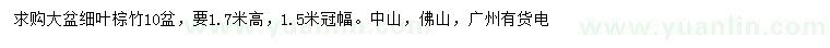 求購(gòu)高1.7米大盆細(xì)葉棕竹