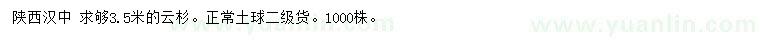 求購3.5米云杉