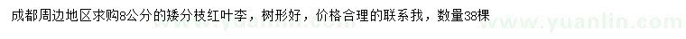 求購8公分紅葉李