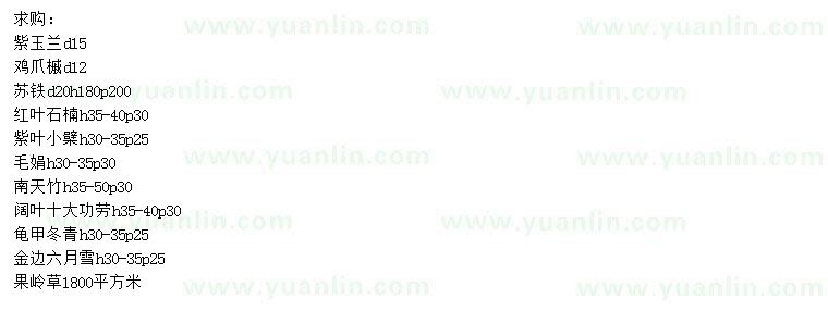 求購紫玉蘭、雞爪槭、蘇鐵等