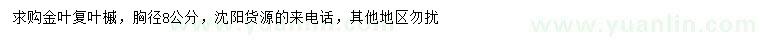 求購胸徑8公分金葉復(fù)葉槭