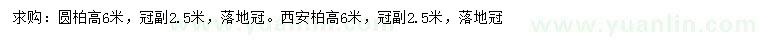 求購(gòu)高6米圓柏、西安柏