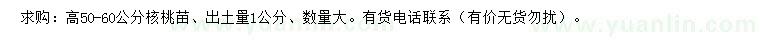 求購高50-60公分核桃苗