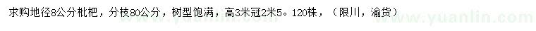 求購地徑8公分枇杷