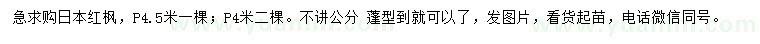 求購冠4、4.5米日本紅楓
