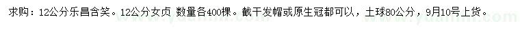 求購12公分樂昌含笑