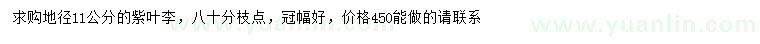 求購地徑11公分紫葉李