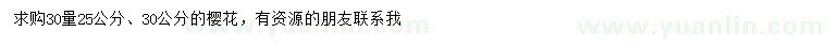 求購30量25公分、30公分櫻花