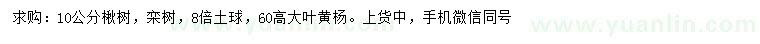 求購楸樹、欒樹、大葉黃楊