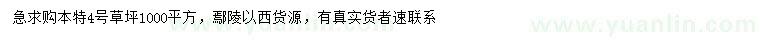 求購(gòu)本特4號(hào)草坪