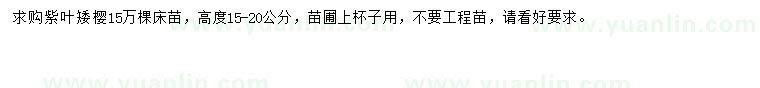 求購高度15-20公分紫葉矮櫻