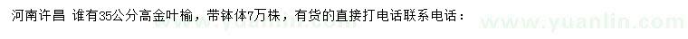 求購(gòu)高35公分金葉榆