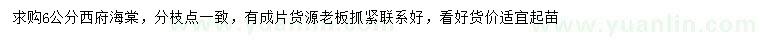 求購(gòu)6公分西府海棠