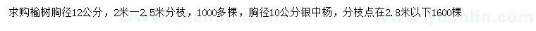 求購(gòu)胸徑12公分榆樹(shù)、胸徑10公分銀中楊