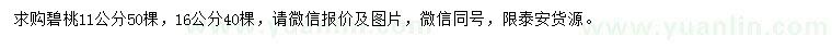 求購(gòu)11、16公分碧桃