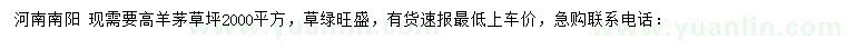 求購高羊毛草坪