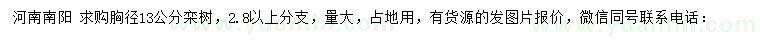 求購胸徑13公分欒樹