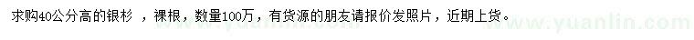 求購(gòu)高40公分銀杉