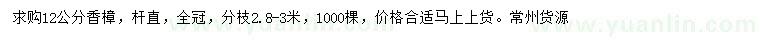 求購12公分香樟