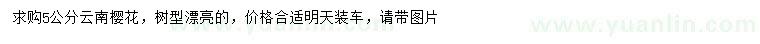 求購5公分云南櫻花
