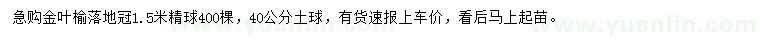 求購落地冠1.5米金葉榆