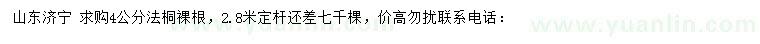 求購4公分法桐
