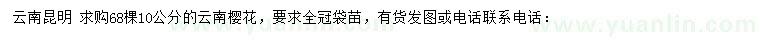 求購10公分云南櫻花