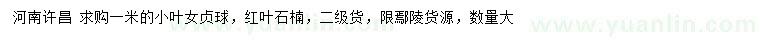 求購1米小葉女貞球、紅葉石楠