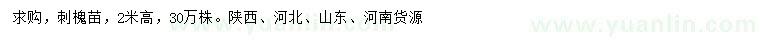 求購高2米刺槐苗