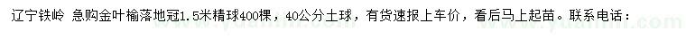 求購1.5米金葉榆