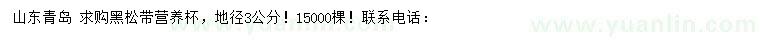 求購地徑3公分黑松