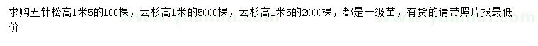 求購高1.5米五針松、云杉