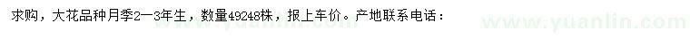 求購2-3年生大花品種月季