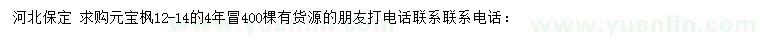 求購12-14公分元寶楓