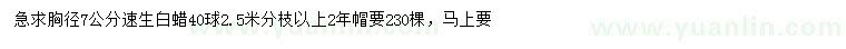 求購(gòu)胸徑7公分速生白蠟