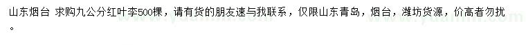 求購9公分紅葉李