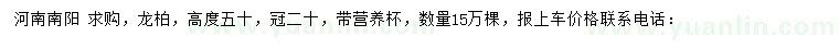 求購高50公分龍柏