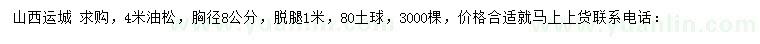 求購(gòu)4米油松