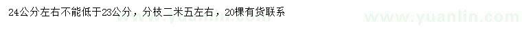 求購(gòu)24公分左右無(wú)患子