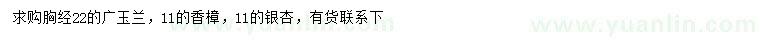 求購廣玉蘭、香樟、銀杏