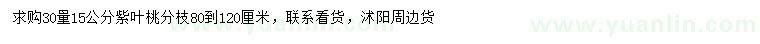 求購30量15公分紫葉桃