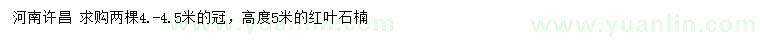 求購高度5米紅葉石楠
