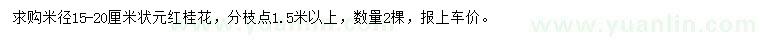 求購米徑15-20公分狀元紅桂花