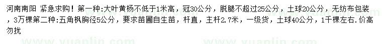 求購冠幅30公分大葉黃楊、胸徑5公分五角楓