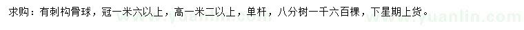 求購冠幅1.6米以上枸骨球