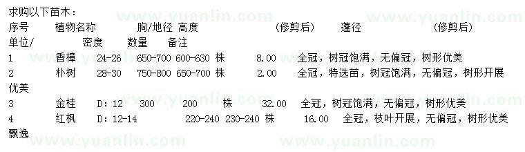 求購紅楓、香樟、樸樹等