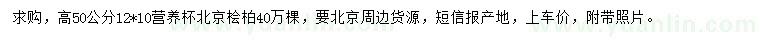 求購高50公分北京檜柏