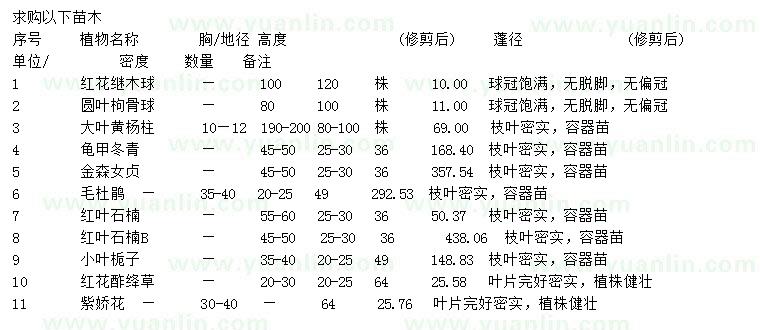 求購紅花繼木球、圓葉枸骨球、大葉黃楊柱等