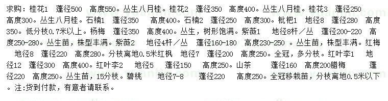 求購桂花、叢生八月桂、石楠等